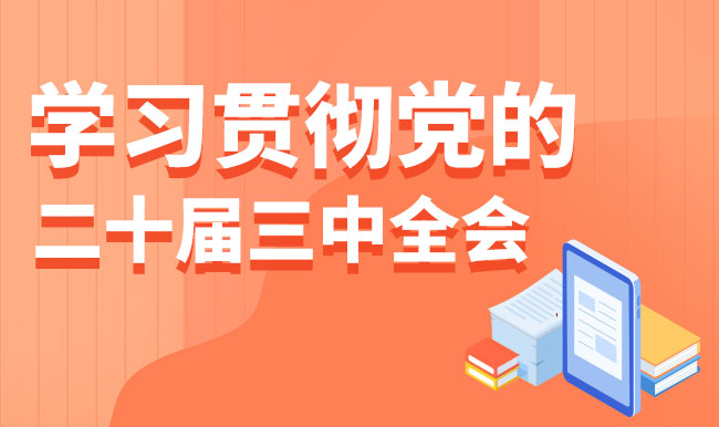 学习贯彻党的二十届三中全会