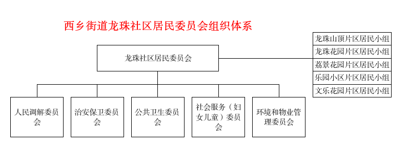 西乡街道龙珠社区居民委员会组织体系.jpg