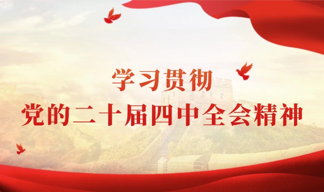 学习贯彻党的二十届四中全会精神